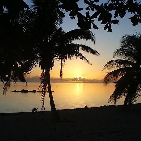 Tahiti - Taharuu Houses Surf & Beach Papara Exterior foto